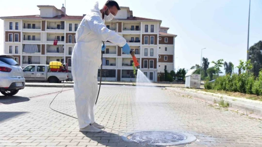 İncirliova'da ekipler halk sağlığı için sahada