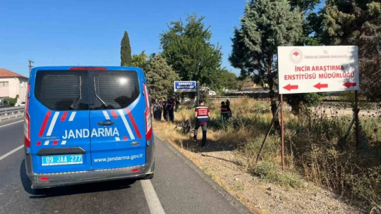 İncirliova'da motosiklet kazası: 1 ölü