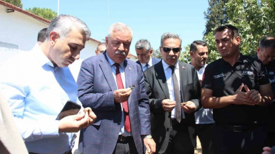 İncirliova'da protokol üyeleri incir hasadına katıldı