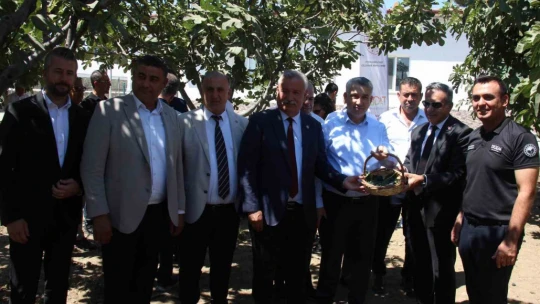 İncirliova'da protokol üyeleri incir hasadına katıldı