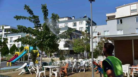 İncirliova'da sivrisinek ile mücadele devam ediyor
