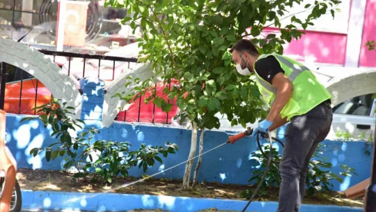 İncirliova'da sivrisinek ile mücadele devam ediyor