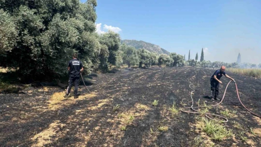 İncirliova'da zirai alanda çıkan yangın söndürüldü