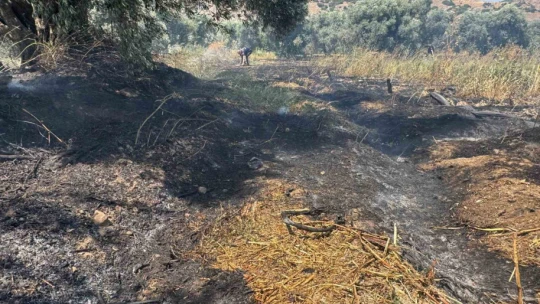 İncirliova'da zirai alanda çıkan yangın söndürüldü