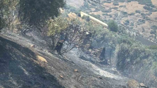 İncirliova'da zirai alanda çıkan yangın söndürüldü