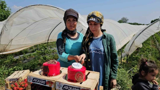 İşçi bayramını meydanda değil, tarlada kutladılar