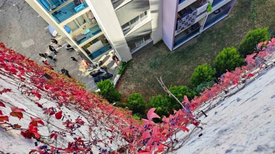 İstinat duvarından atlayan kadın hayatını kaybetti