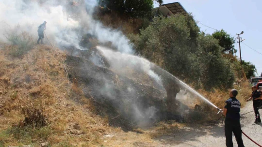 İtfaiyenin hızlı müdahalesi alevlerin antik kente ulaşmasını önledi