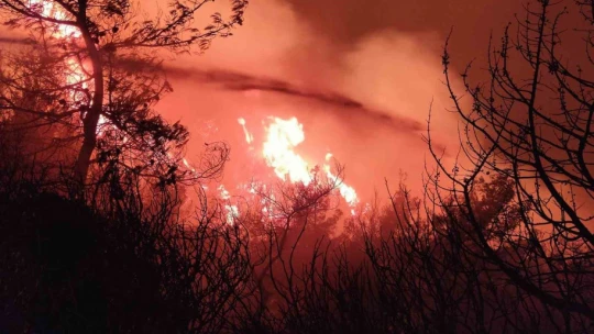 İzmir'de başlayıp Aydın'a sıçrayan orman yangınına gece görüşlü helikopterler ile müdahale ediliyor