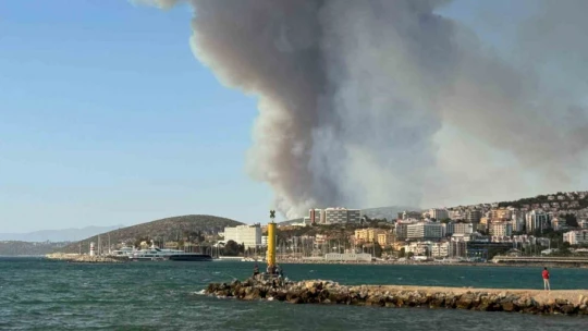 İzmir'deki orman yangını Kuşadası'nı duman bulutuna boğdu