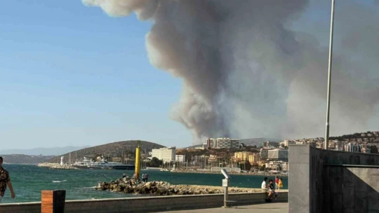 İzmir'deki orman yangını Kuşadası'nı duman bulutuna boğdu