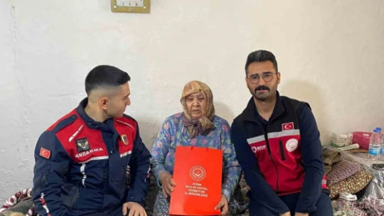 Jandarma asırlık çınarları unutmadı