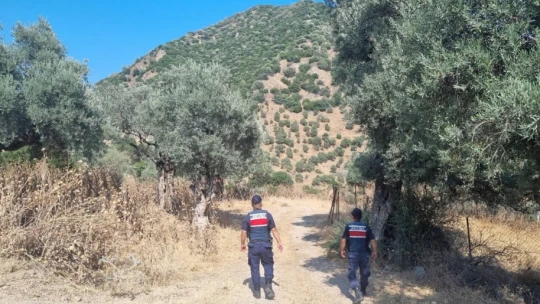 Jandarma Aydın'da yangın nöbetinde