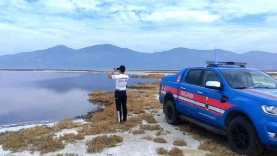 Jandarma ekipleri Bafa Gölü'nde yasadışı avcılığa geçit vermiyor