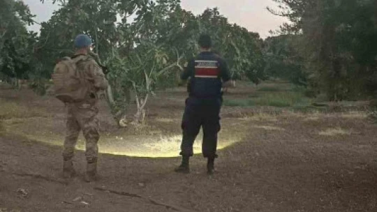 Jandarma ekipleri incir hırsızlarını suçüstü yakaladı