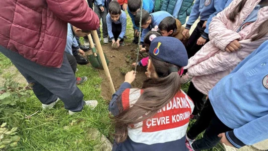 Jandarma ekipleri minikler ile birlikte fidan dikti