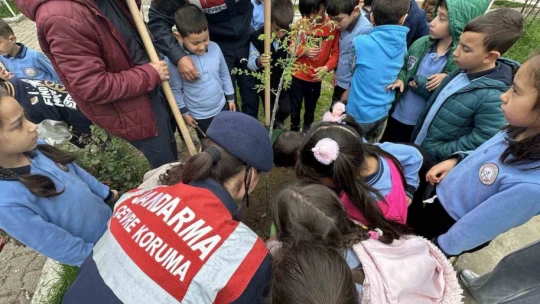 Jandarma ekipleri minikler ile birlikte fidan dikti