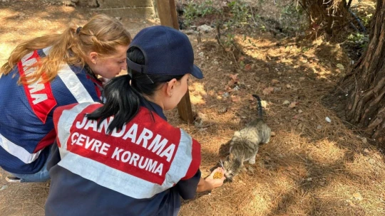 Jandarma ekipleri vatandaşları bilgilendirdi