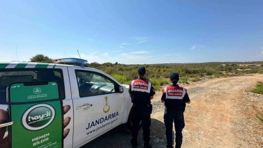 Jandarma ekipleri vatandaşları orman yangınlarına karşı uyardı