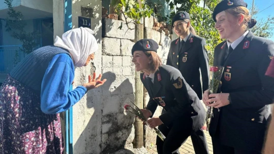 Jandarma ekipleri yaşlı çınarları unutmadı