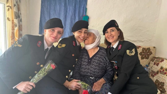 Jandarma ekipleri yaşlı çınarları unutmadı