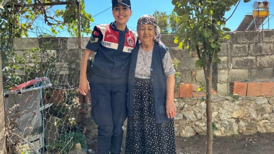 Jandarma ekipleri yaşlı çınarları unutmadı
