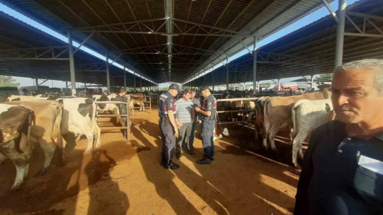 Jandarma, hayvan hırsızlarına dikkat çekti