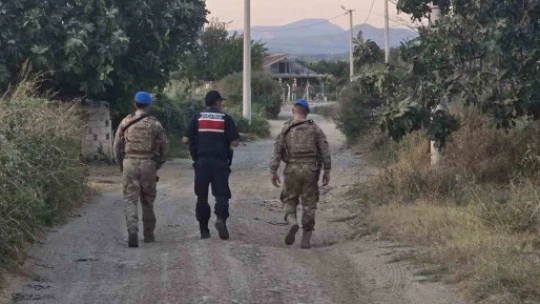 Jandarma incir hırsızlarına geçit vermiyor