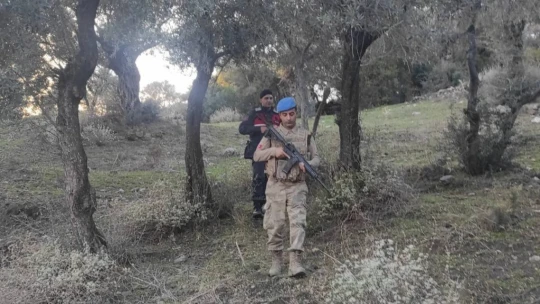 Jandarma tarımsal ürün hırsızlığına geçit vermiyor