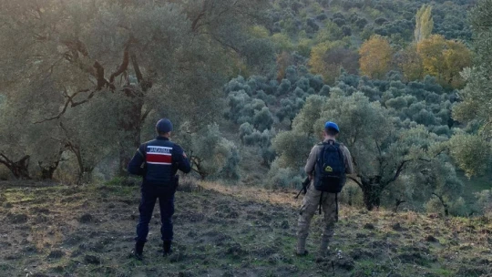 Jandarma tarımsal ürün hırsızlığına geçit vermiyor