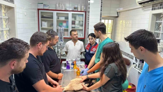 Jandarma yaralı leyleği veterinere ulaştırdı