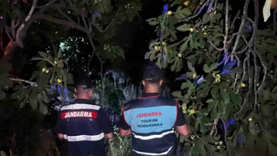 Jandarmadan 'incir hırsızı' nöbeti