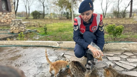 Jandarmadan 'kültür mirası' denetimi