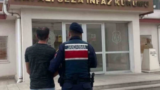 Jandarmadan eş zamanlı operasyon: 27 yakalama