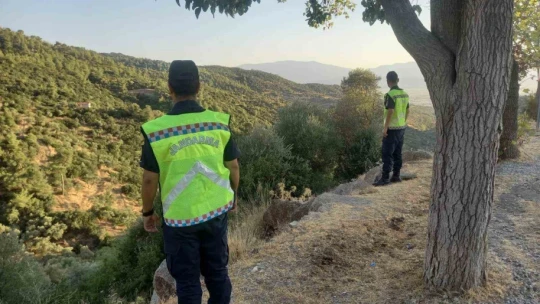 Jandarmadan hava destekli orman denetimi