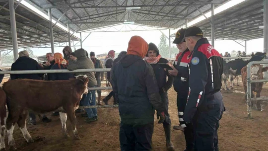 Jandarmadan, hayvan pazarında 'dolandırıcı' denetimi