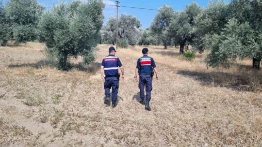 Jandarmadan orman devriyesi