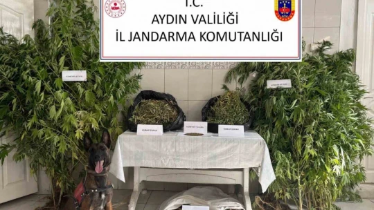 Jandarmadan uyuşturucu operasyonu: 12 şüpheli yakalandı
