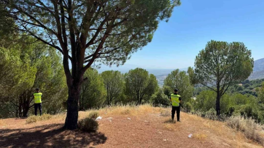Jandarmanın 'orman' nöbeti aralıksız devam ediyor