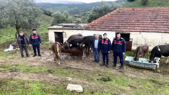 Jandarmanın titiz çalışması sonuç verdi, hayvan hırsızları yakalandı