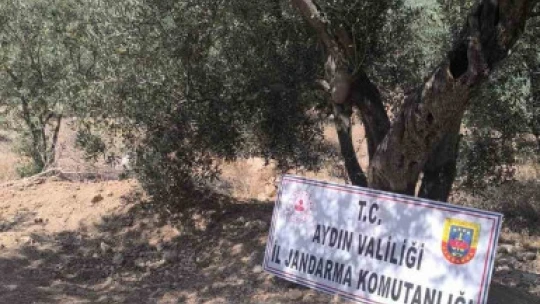 Kaçak kazı yapan 6 şüpheli suçüstü yakalandı