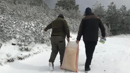 Kaçak avlananlara ceza yağdı