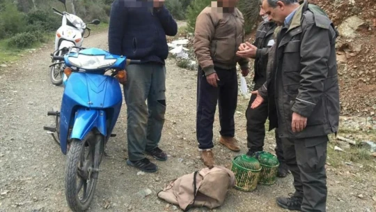 Kaçak avlananlara ceza yağdı