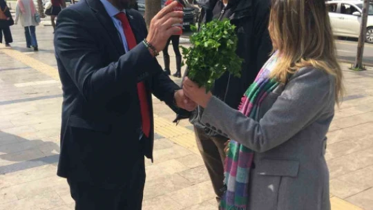 Kadınların gününü maydanoz dağıtarak kutladı