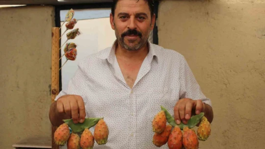 Kaktüs inciri, pazar tezgahlarının ilgi odağı oldu