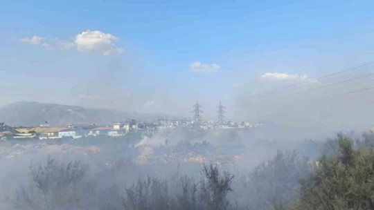 Kanal kenarında çıkan yangın rüzgarla geniş alana yayıldı