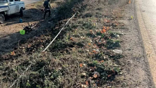Karacasu'da çalışmalar hız kazandı