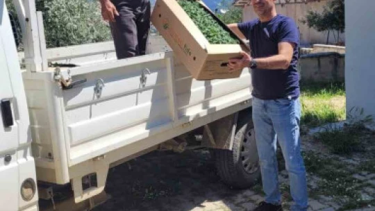 Karacasu'da domates fideleri üreticilere teslim edildi