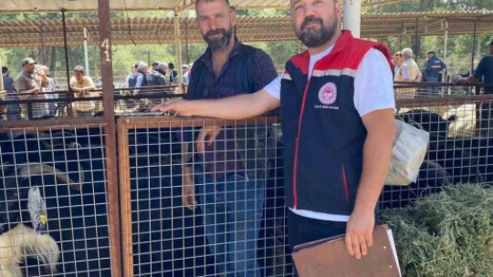Karacasu'da kurban satış yerleri denetlendi