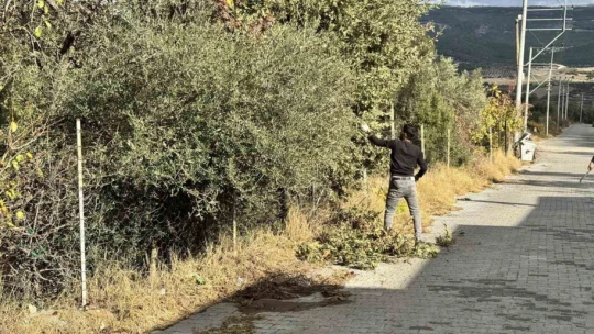 Karacasu'da mahalleler temizleniyor